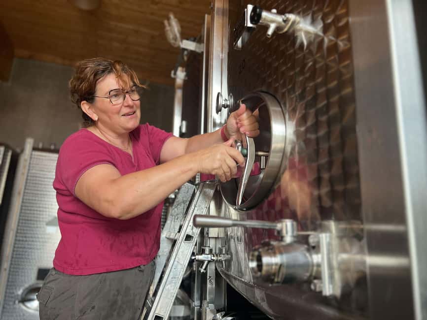 Dare to Alsace Wine with a Feminine Touch - The strongest reasons to book