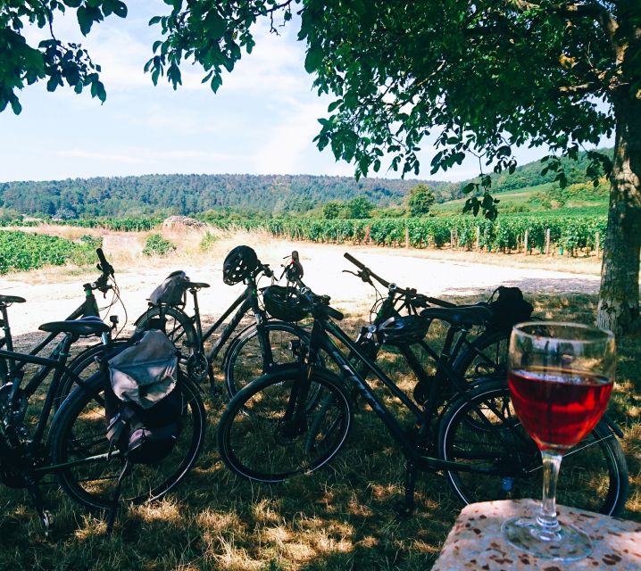 Dijon: Bike tour and Tastings in the Vineyards of Burgundy - Key points to know before you book