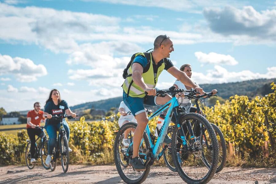 Dijon: Bike tour and Tastings in the Vineyards of Burgundy - Marsannay-la-Côte and the first vineyard views