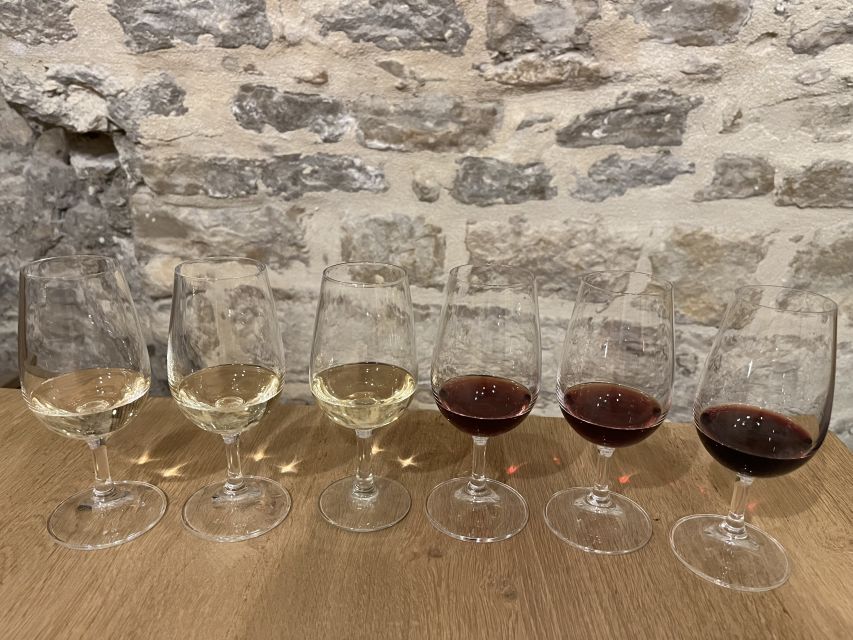Dijon: Cheese and Burgundy Wine Tasting Workshop - Key points at a glance