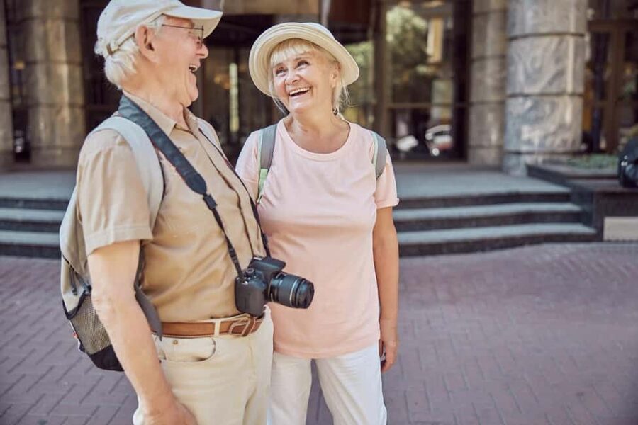 Dijon: Express Walk with a Local in 60 minutes - The Palais des Ducs and Dijon’s grand civic heart