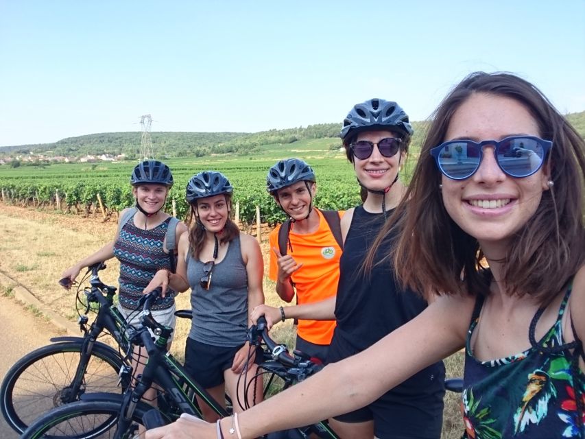 Dijon: Half-Day Guided Gourmet Bike Tour - Key points at a glance