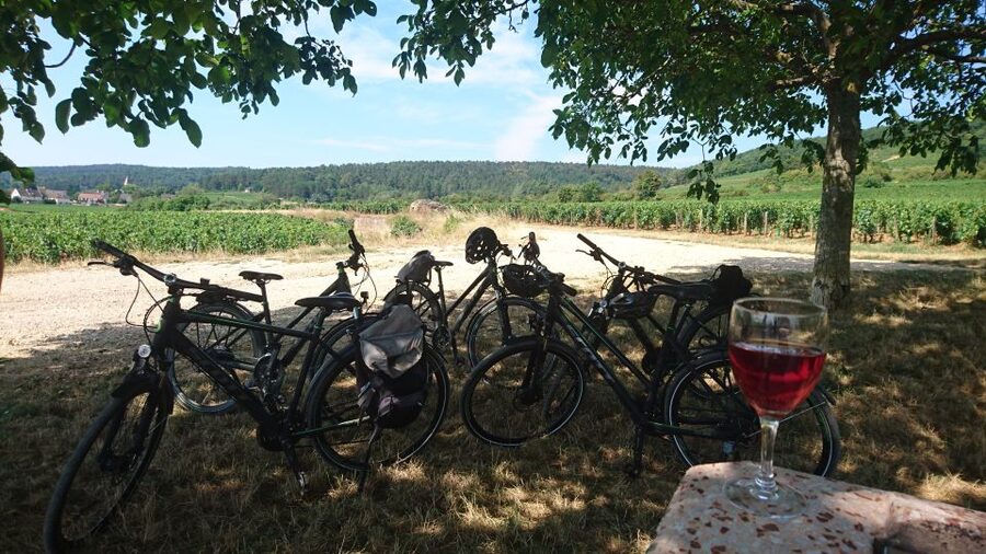 Dijon: Half-Day Guided Gourmet Bike Tour - Why a bike is a good way to see Burgundy’s vineyards