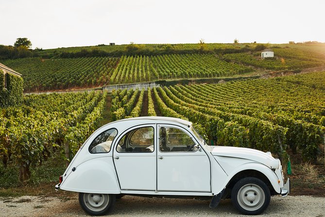 Discover Burgundy - The first lesson: Burgundy in five subregions
