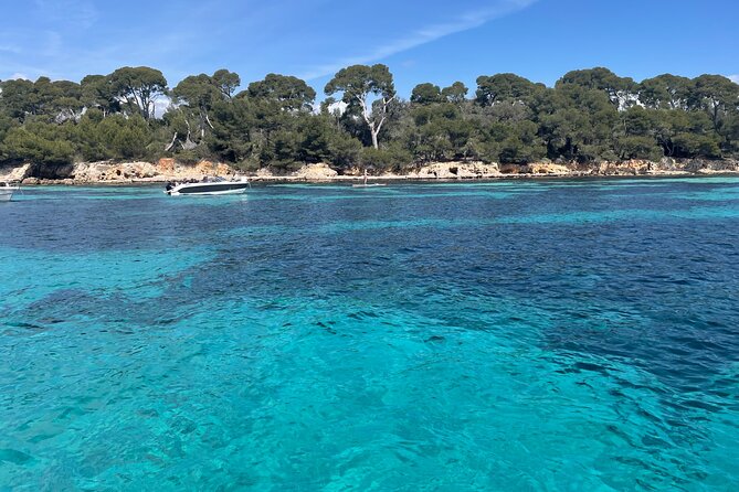 Discover the Lérins Islands and the Bay of Cannes by Private Boat - Sainte-Marguerite and its quiet coves