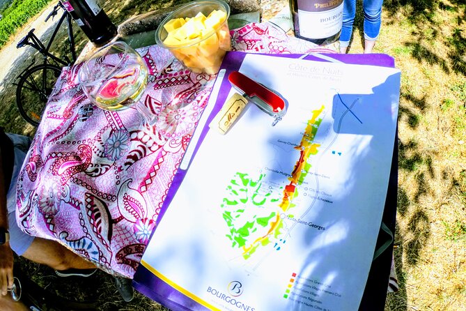 Discovery by bike & Tasting in the vineyards - Fixin and Brochon at a Relaxed Pace