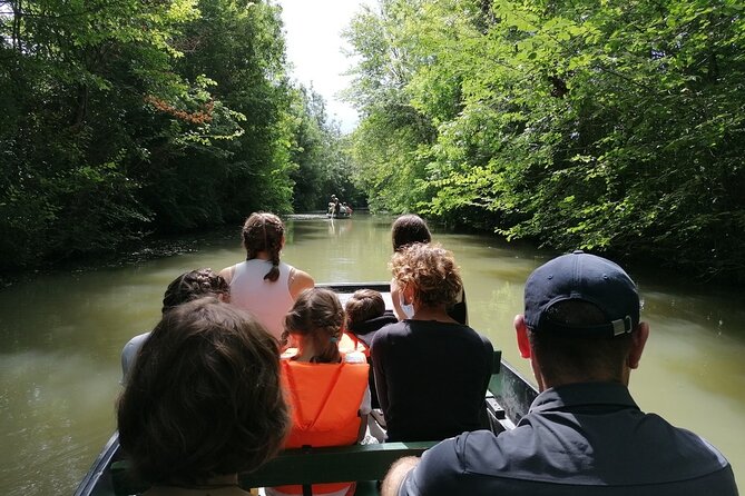 Discovery day in the footsteps of Baudet du Poitou - Starting at Les Oiseaux du Marais Poitevin