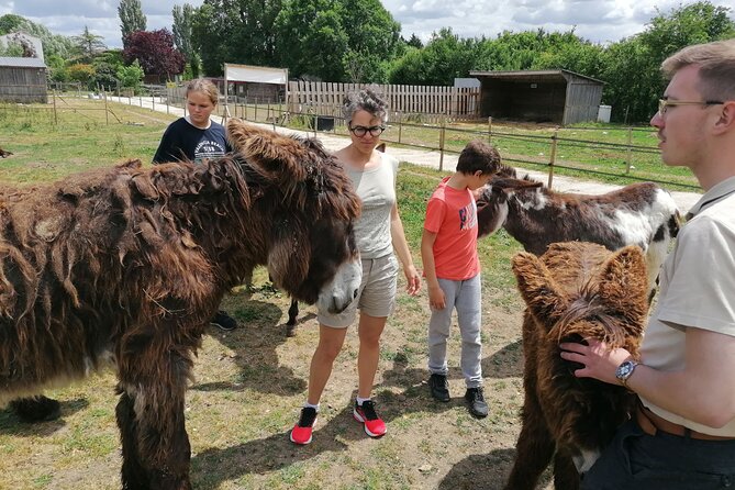 Discovery day in the footsteps of Baudet du Poitou - Finishing with donkey-milk soap