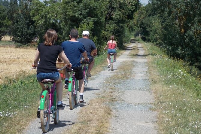 Discovery Day in the footsteps of the Builder Monks - A two-hour picnic beside the Sèvre Niortaise