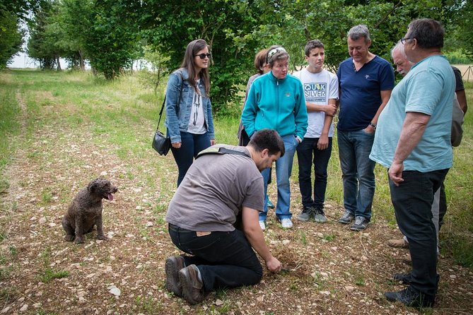 Discovery of the world of Truffles and tasting - Why truffles make a good Burgundy side trip