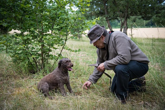 Discovery of the world of Truffles and tasting - The tasting: where the lesson reaches your plate