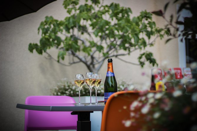 Discovery tour (2 tastings) - Key points to know before booking
