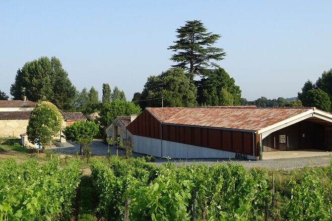 Discovery visit of Château Rol Valentin with tasting - Arriving at Château Rol Valentin in Saint-Étienne-de-Lisse