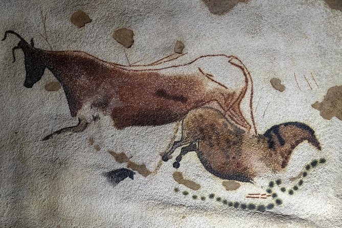 Dordogne Day Tour : Prehistory and The Art of the Caves from Sarlat - Starting at the National Museum of Prehistory
