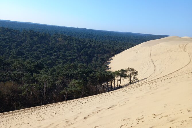 Dune du Pilat and Oysters Tasting in only 1 hour away from Bordeaux ! What else? - Timing, weather, and cancellation details