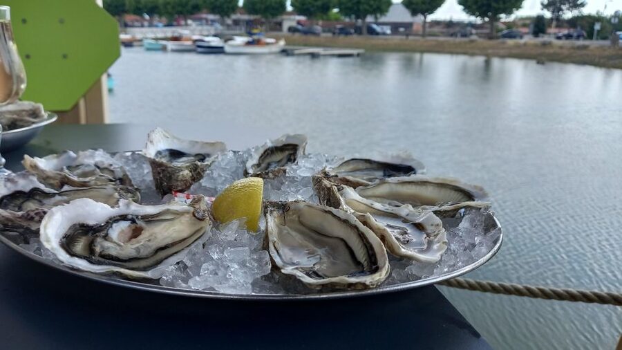 Dune du Pilat, Oysters Tasting and Arcachon! What else ? - FAQ
