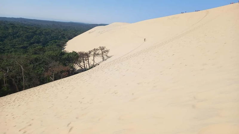 Dune du Pilat, Oysters Tasting and Arcachon! What else ? - La Teste-de-Buch, where oysters meet the port