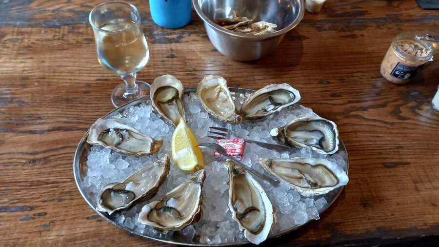 Dune du Pilat, Oysters Tasting and Arcachon! What else ? - Who should book this experience