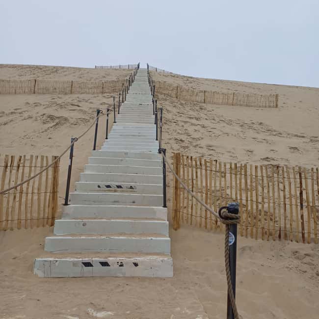 Dune du Pilat, Oysters Tasting and Arcachon! What else ? - Should you book the Dune du Pilat and oysters tour?