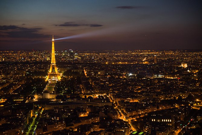 Eiffel Tower and City Tour by Bus with Seine River Cruise Option - Seeing Paris by panoramic coach