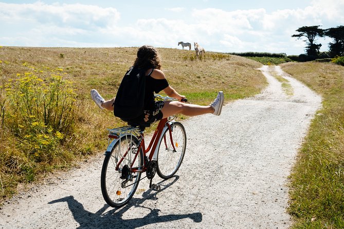 Electric bike excursion in Camargue - A working ranch with bulls and horses