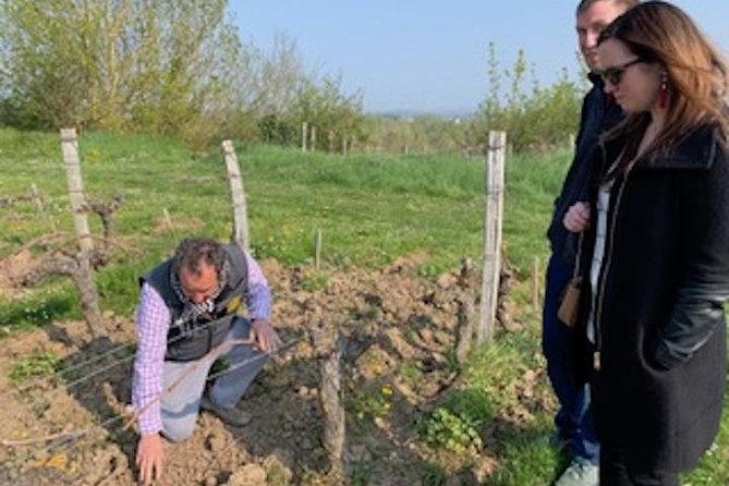 English Speaking Loire Winery Tours originating from Chinon - Why the full-day format offers more value