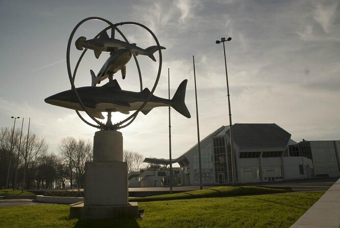 Entrance Ticket Nausicaa, the biggest aquarium in Europe - Key Points Before You Buy