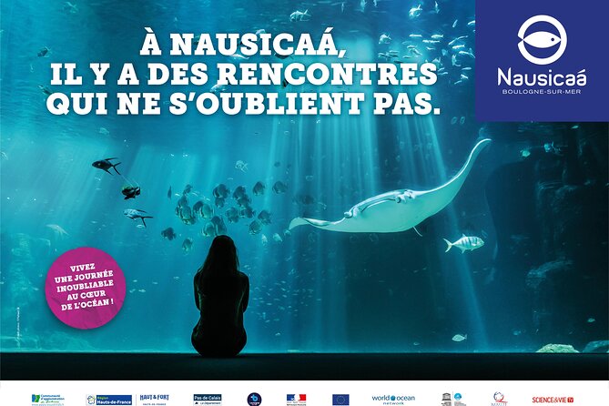Entrance Ticket Nausicaa, the biggest aquarium in Europe - Entering Nausicaa and Finding Your Way