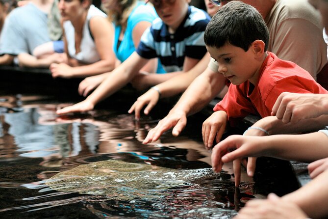 Entrance Ticket Nausicaa, the biggest aquarium in Europe - How Long Should You Stay?