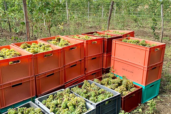 Epicurean Discovery Tour with Wine & Local Specialties - Tasting five wines in the former stables
