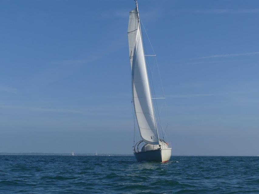 Evening aperitif cruise at the entrance of Morbihan's Gulf - The skipper can make or break the evening