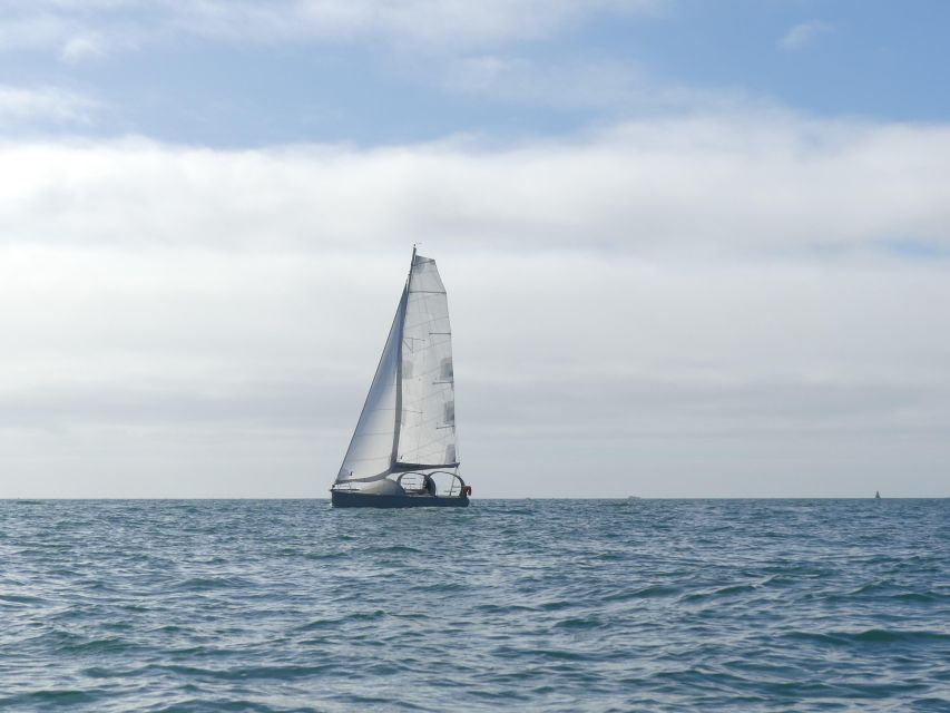 Evening aperitif cruise at the entrance of Morbihan's Gulf - Who will enjoy this Port du Crouesty cruise?