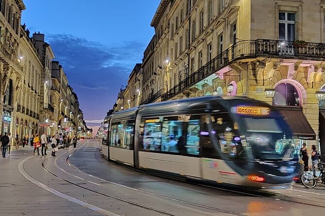 Exclusive ! Discover Vibrant Bordeaux at Night :Night Tour! - Sainte Catherine and the long pedestrian walk