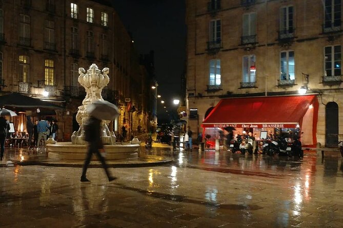 Exclusive ! Discover Vibrant Bordeaux at Night :Night Tour! - Place de la Bourse and the Water Mirror