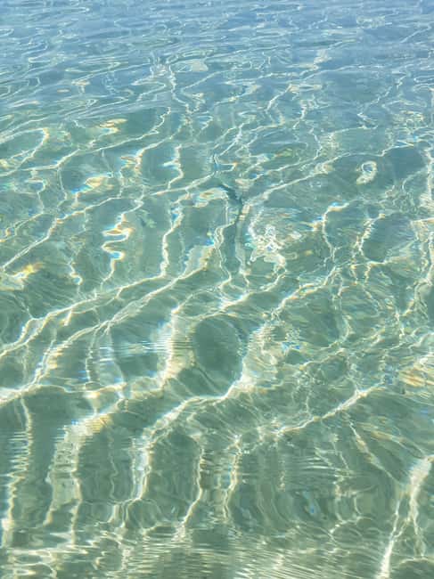 Excursion to Porquerolles Island from Bandol - Why this Porquerolles trip works so well