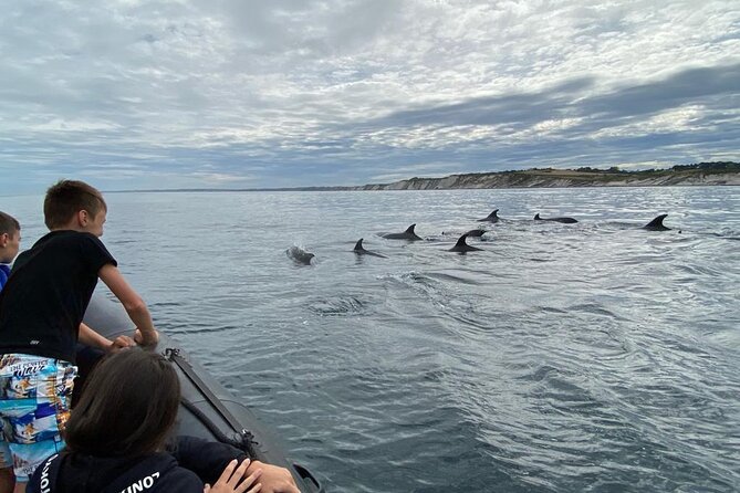 Explore the Wild Beauty of the Basque Coast by Boat - What the ride feels like on board