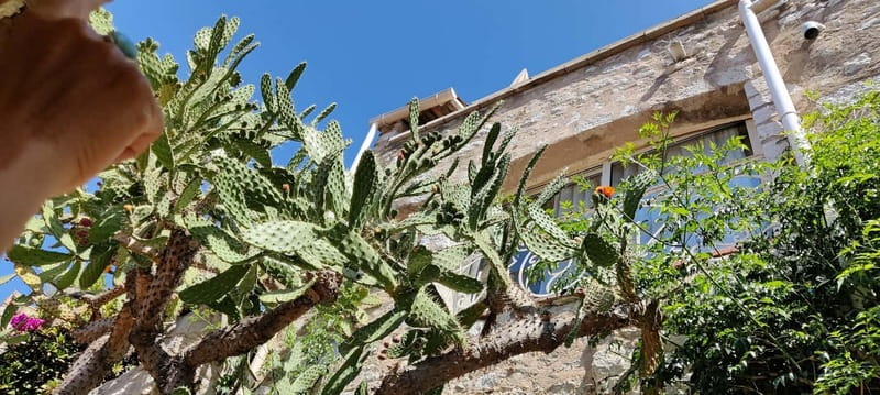 Èze: Walking Tour with a Local Guide - Chapelle Sainte-Croix and the White Penitents