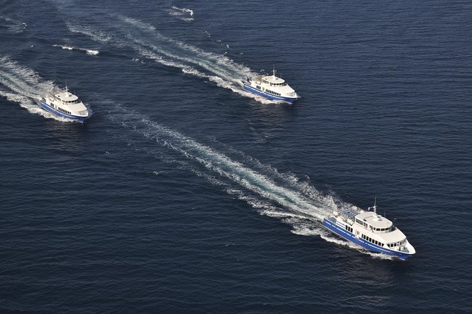 Ferry from Cannes to St Tropez - Who will get the most from this boat day?