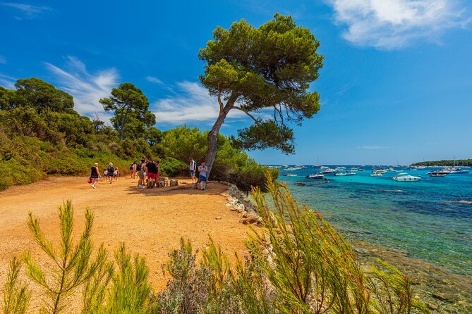 Ferry from Cannes to the island Ste Marguerite - Is the $24.95 fare good value?
