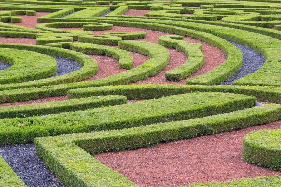 Fontainebleau & Vaux-le-Vicomte Châteaux Day Tour from Paris - Walking, weather, and accessibility