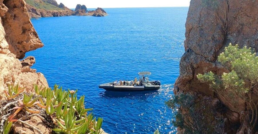 Fréjus 2.5 Hours Sea Excursion by Boat - The swimming stop and mask time