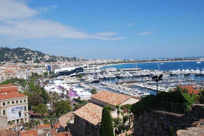 French Riviera Cannes to Monte-Carlo Discovery Small Group Day Trip from Nice - The minivan, guide, and daily pace