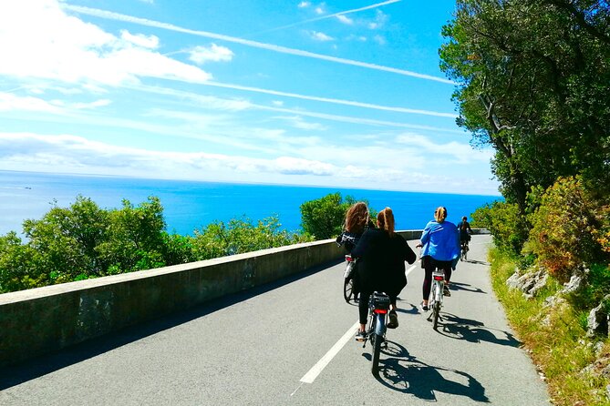 French Riviera Grand Panoramic E-Bike Tour - What you get for $126.15 in Nice