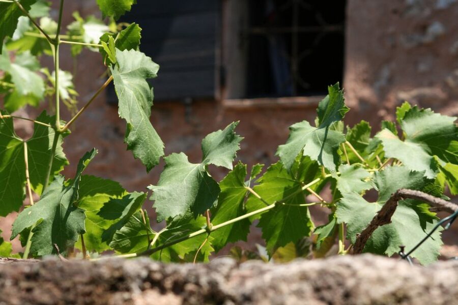 French Riviera: Provencal Wine Tour - The drive inland toward Draguignan