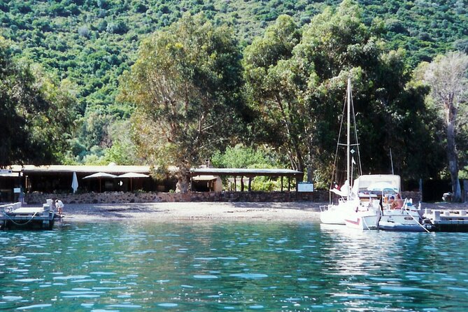 Friendly discovery of Scandola Calanques de Piana and meal stop at Girolata - Is $82.27 a good value?