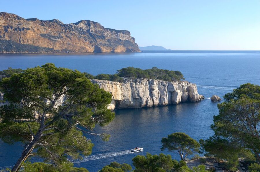 From Aix: Cassis Boat Ride & Provence Wine Tasting Day Tour - Should you book it?