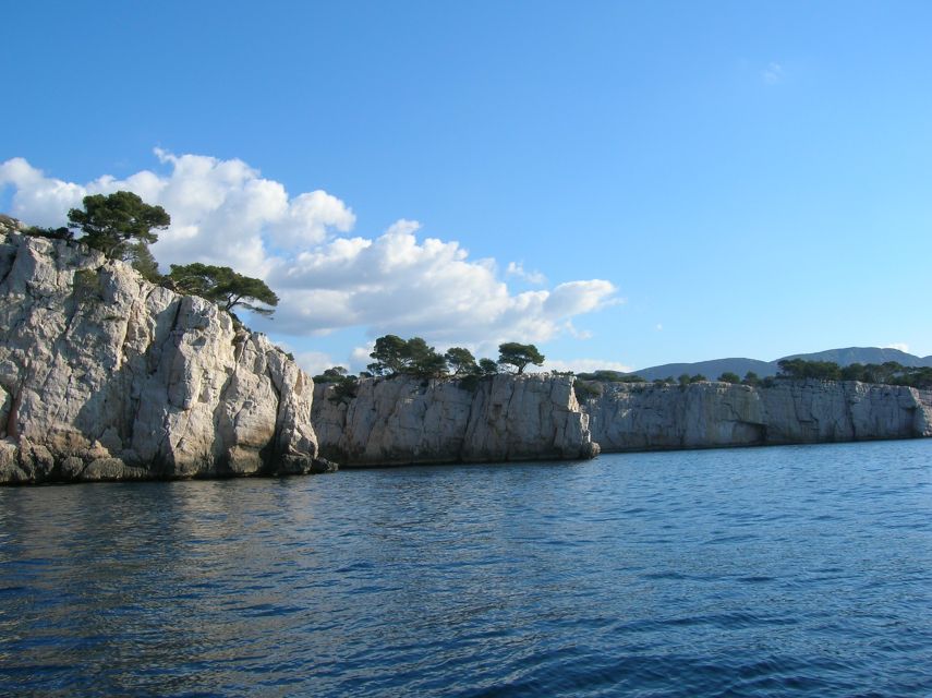 From Aix: Cassis Boat Ride & Provence Wine Tasting Day Tour - Timing, comfort, and practical limits