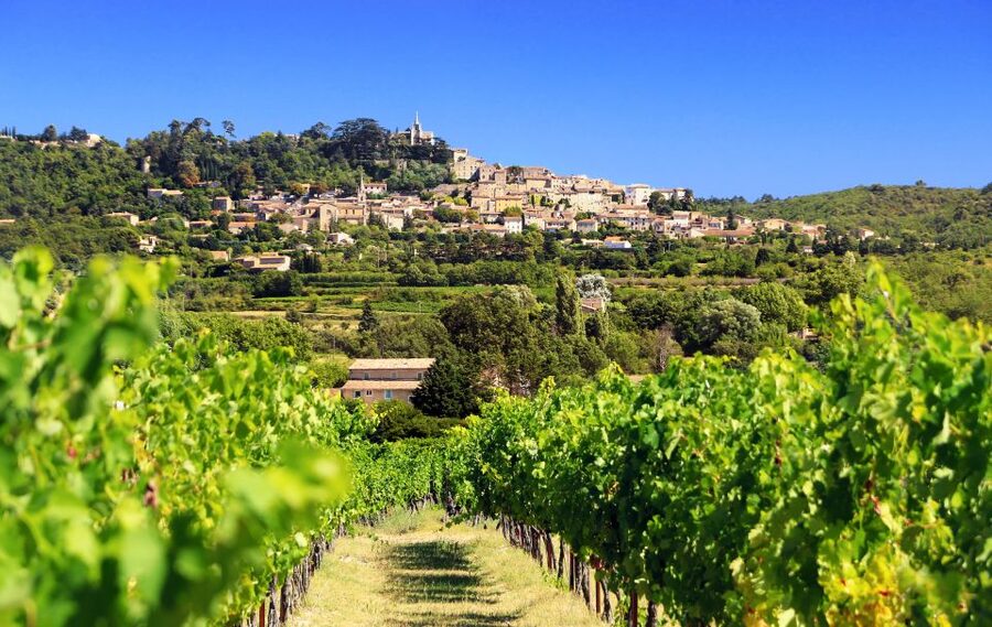 From Aix-en-Provence: Half-Day Wine Tour - The first winery: a family estate with a personal welcome
