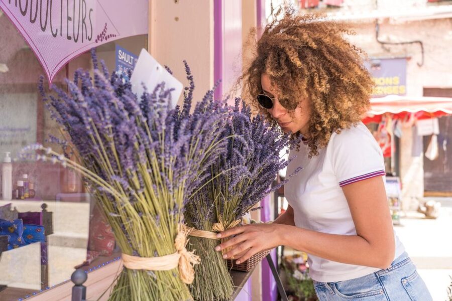 From Aix-en-Provence: Lavender Half Day Tour - Meeting the lavender producer