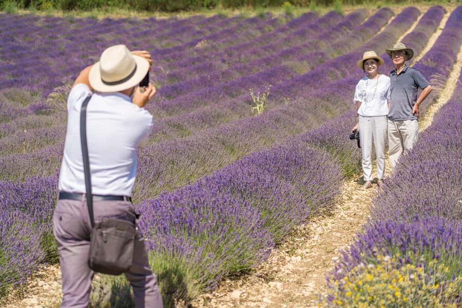From Aix-en-Provence: Lavender Half Day Tour - The guide can make or break the morning